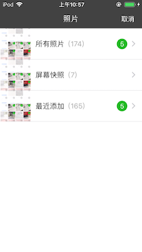 iOS_custom_1 Alt text